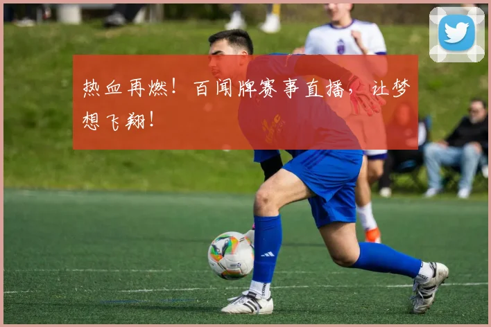 热血再燃!百闻牌赛事直播,让梦想飞翔!